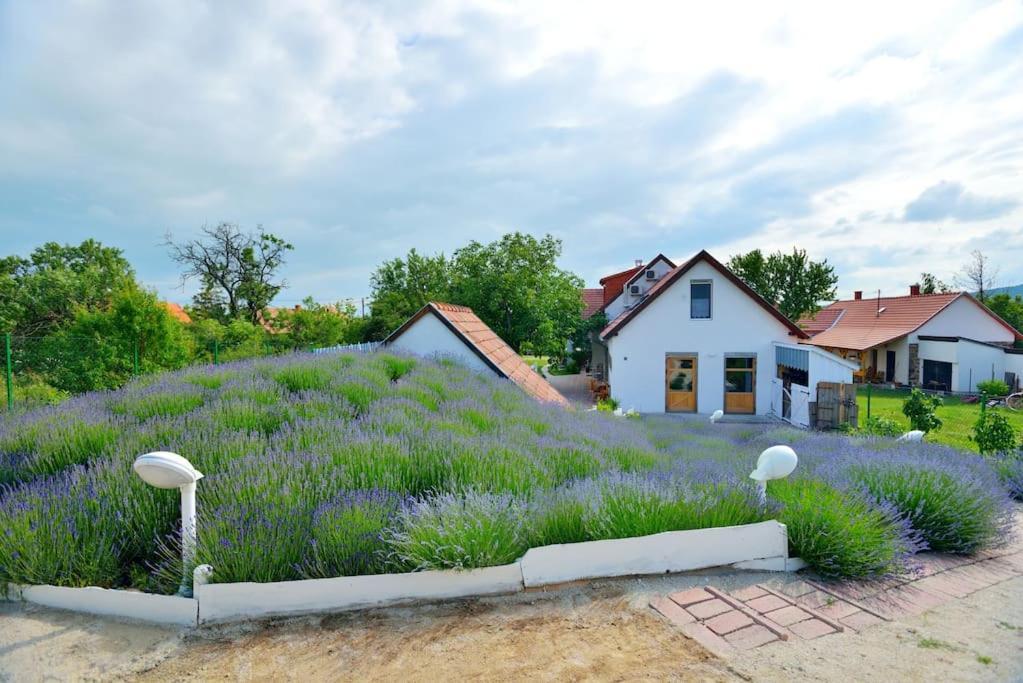 Levendula Vendégház Lovas Exterior foto